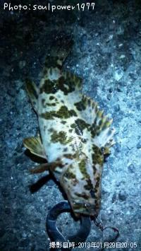 ¥¿¥±¥Î¥³¥á¥Ð¥ë