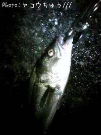 �����Х�