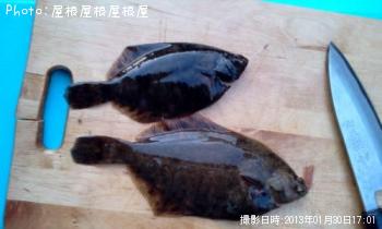 �����������쥤����