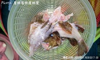 �����������쥤����