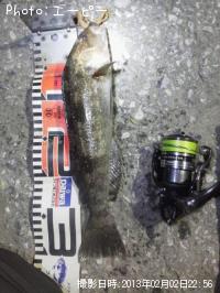 �����ʥ�