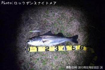 �����Х�