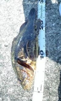 �������������