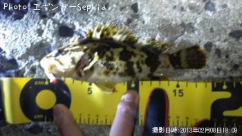 ¥¿¥±¥Î¥³¥á¥Ð¥ë