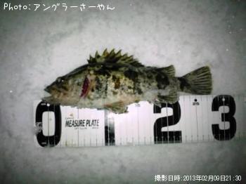 ¥¿¥±¥Î¥³¥á¥Ð¥ë