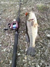 ¥Ö¥é¥Ã¥¯¥Ð¥¹