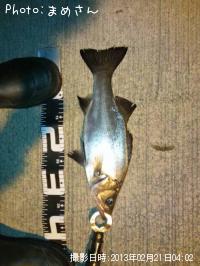 �����Х�