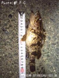 ¥¿¥±¥Î¥³¥á¥Ð¥ë