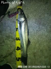 �����Х�