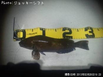 �����ʥ�