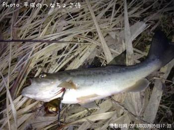 �֥�å��Х�