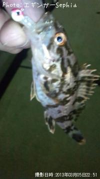 ¥¿¥±¥Î¥³¥á¥Ð¥ë