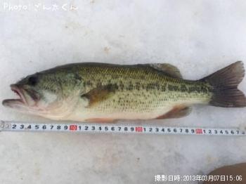 �֥�å��Х�