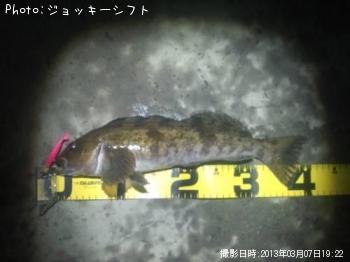 �����ʥ�