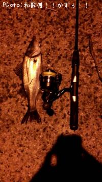 �����Х�