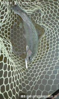 ¥ì¥¤¥ó¥Ü¡¼¥È¥é¥¦¥È