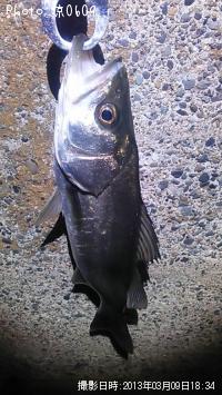 �����Х�