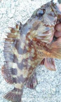 ������������