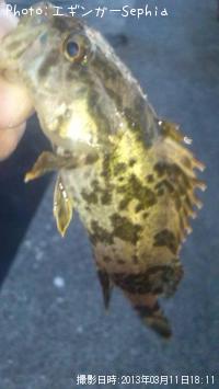 �����Υ���Х�