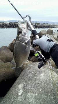 �ҥ饹����