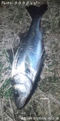 �����Х�