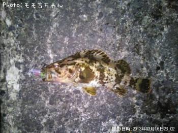 ¥¿¥±¥Î¥³¥á¥Ð¥ë