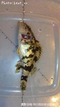 �����Υ���Х�