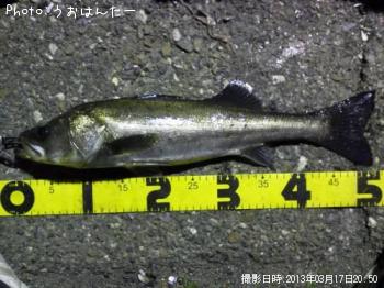 �����Х�