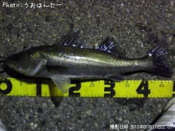 �����Х�