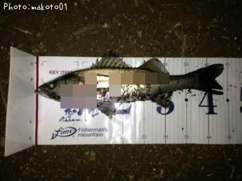 �����Х�