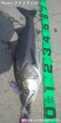 ���������Х�