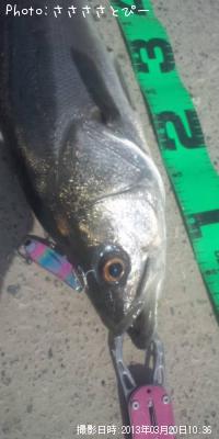 ���������Х�