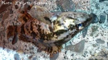 ¥¿¥±¥Î¥³¥á¥Ð¥ë