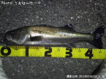 �����Х�