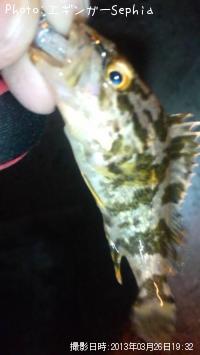 �����Υ���Х�