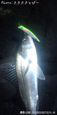 �����Х�