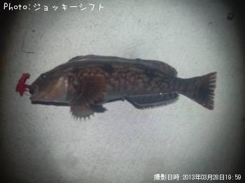 �����ʥ�