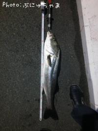 �����Х�