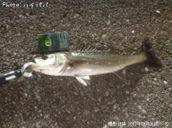 �����Х�