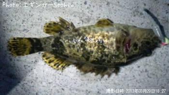 �����Υ���Х�