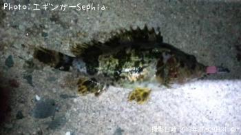 �����Υ���Х�