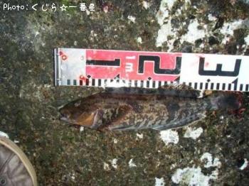 �����ʥ�