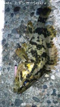 �����Υ���Х�