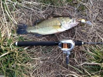 ¥Ö¥é¥Ã¥¯¥Ð¥¹