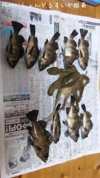 ��Х롢����