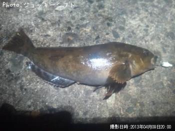 �����ʥ�