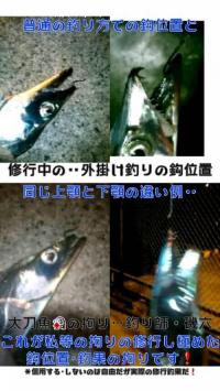 ����������������ݤ���̲���