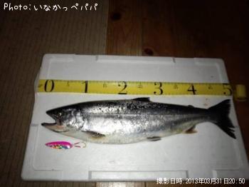 ������ޥ�