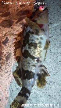 �����Υ���Х�