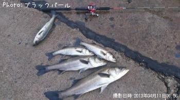 �����Х�